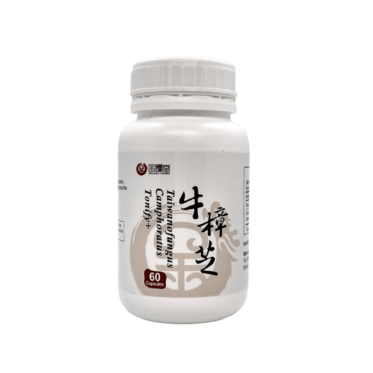 Tonify Plus+ | Taiwanofungus camphoratus 牛樟芝