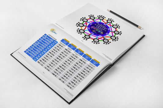 Dr. Tan's Balance Method Acupuncture Coursework Companion