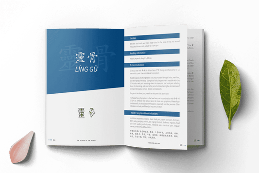 The Power of the Points – Part 1 Dr Tan Balance Method Acupuncture