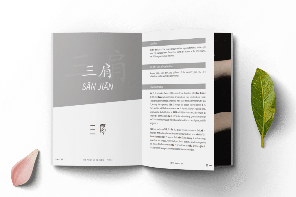 The Power of the Points – Part 2 Dr Tan's Balance Method Acupuncture