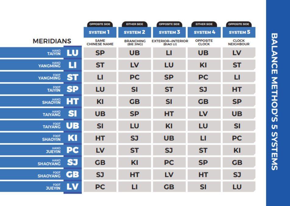Acupuncture Medical Mission Workbook- Dr Tan Balance Method Acupuncture