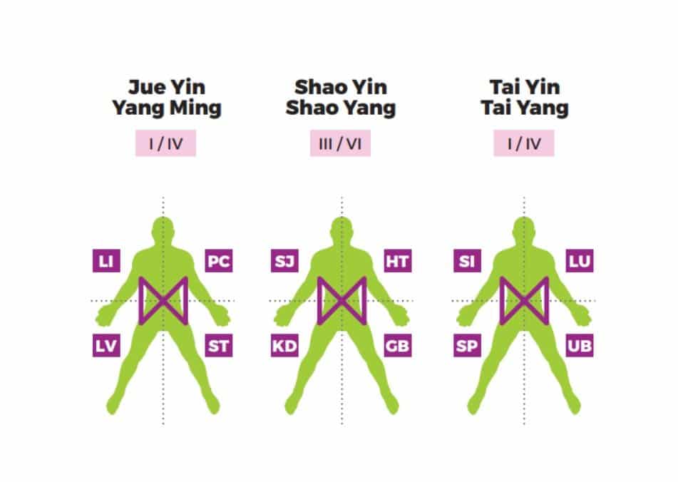 Acupuncture Medical Mission Workbook- Dr Tan Balance Method Acupuncture