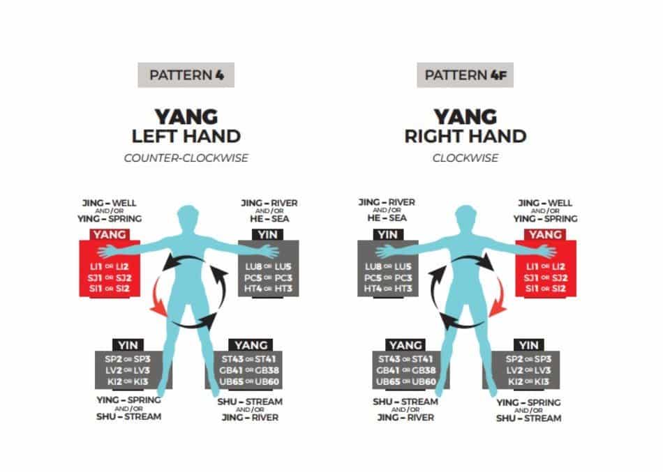 Acupuncture Medical Mission Workbook- Dr Tan Balance Method Acupuncture