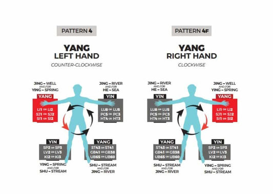 Acupuncture Medical Mission Workbook- Dr Tan Balance Method Acupuncture
