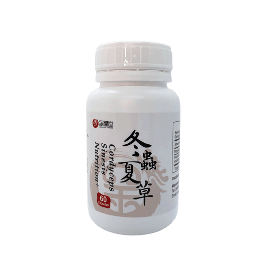 Nutrition+ Cordyceps | Dong Chong Xia Cao 冬蟲夏草