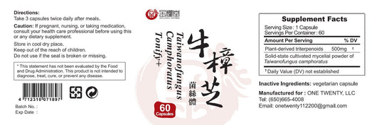 Tonify Plus+ | Taiwanofungus camphoratus 牛樟芝